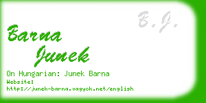 barna junek business card